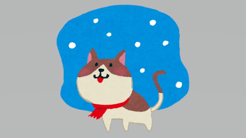 雪×猫