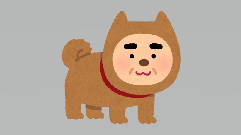 中に人がいそうなボー…